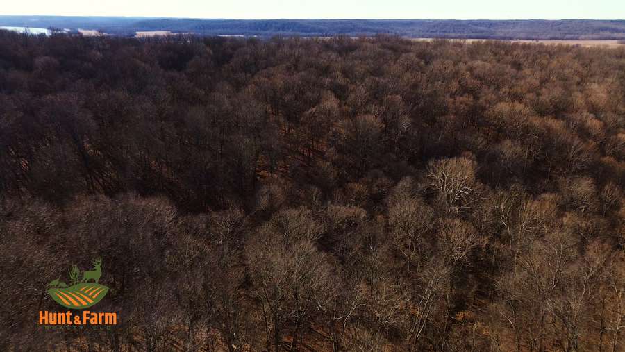 Still 2026-01-28 141101_2.12.1.jpg